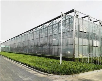 四川溫室大棚種植有哪些優(yōu)點(diǎn)是你還不知道的？